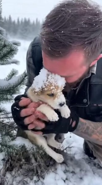 C2512009_Every second showed exhaustion pushing beyond human limits