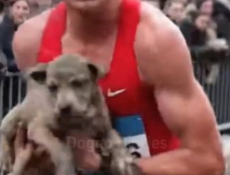 C2512010_The struggle weakened as time ran out without mercy