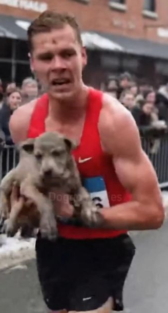 C2512010_The struggle weakened as time ran out without mercy