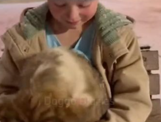 C2512011_Suffering remained visible while help stayed painfully distant