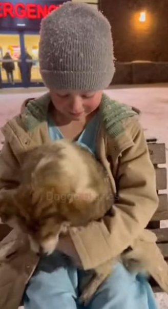 C2512011_Suffering remained visible while help stayed painfully distant