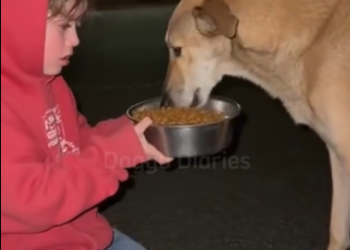 C2512012_The final breakdown happened with nothing left to hold onto