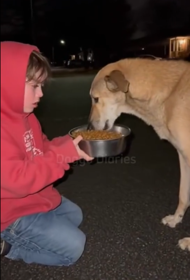 C2512012_The final breakdown happened with nothing left to hold onto