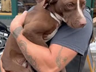 C2512013_This scene reveals what happens when hope arrives too late