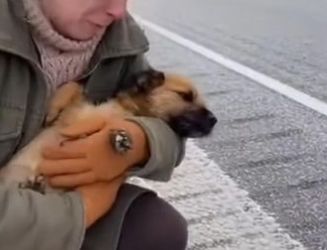 C2512014_Pain dominated the frame until nothing was left to fight