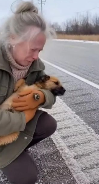 C2512014_Pain dominated the frame until nothing was left to fight