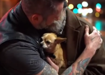 C2512015_The recording shows a moment where saving was no longer possible