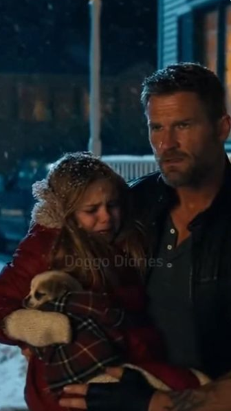 C2512016_Strength vanished gradually while the world stayed unmoved