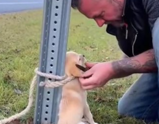 C2512017_The ending arrived quietly after an unbearable wait