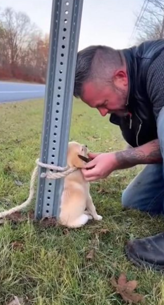 C2512017_The ending arrived quietly after an unbearable wait