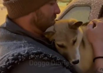 C2512020_Silence followed after the last sign of resistance faded