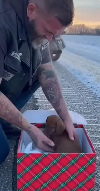 C2512021_The struggle reached its limit with no intervention