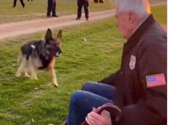 C2512022_Darkness replaced hope as the scene slowly came to an end