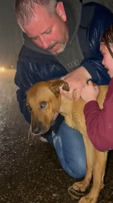 C2512023_Every movement became weaker until nothing remained