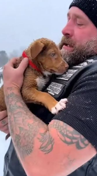 C2512027_No miracle appeared when it was needed most