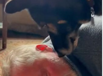 C2512028_The scene changed forever once strength completely failed