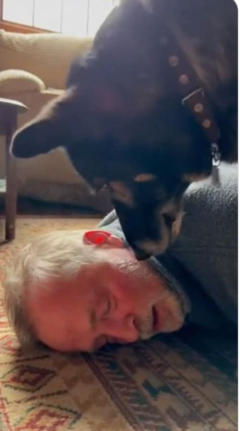 C2512028_The scene changed forever once strength completely failed