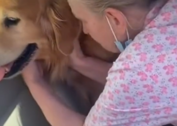 C2512029_Pain filled every moment until the very last breath