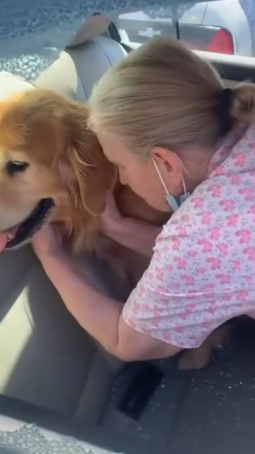 C2512029_Pain filled every moment until the very last breath