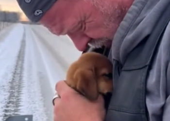 C2512030_This clip ends where survival was no longer an option