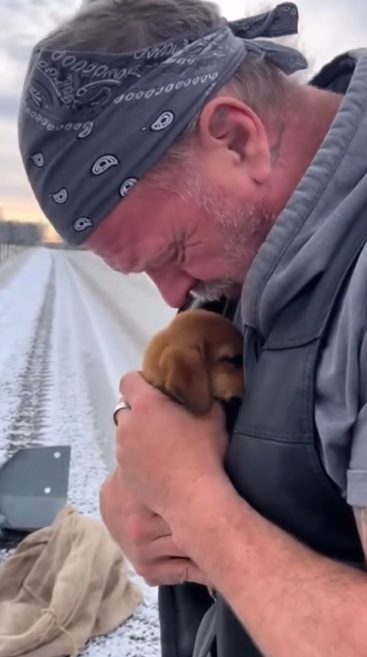 C2512030_This clip ends where survival was no longer an option