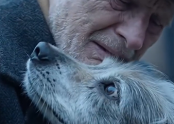 1 The Old Man Who Broke the Lock — and the Dog Who Fell Into His Arms