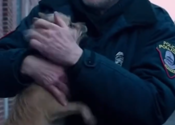 The Dog in the Sealed Trash Bin Who Changed a Police Officer’s Life Forever