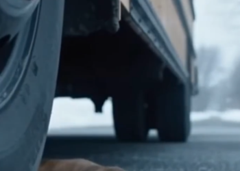 5 The Day a 10-Year-Old Stopped a School Bus — and Saved a Life No One Saw Coming