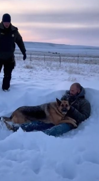 6 The Dog Who Found the Fugitive in the Snow — And the Moment That Made an Officer Cry