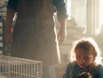 8 The Little Girl Inside the Cage — And the Moment That Stunned the Entire Pet Shop