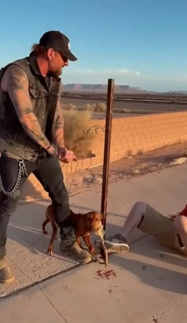 10 The Biker Who Slapped a Man for Kicking a Dog — And the Softest Lick That Broke Everyone’s Heart