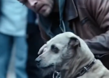 17 A Biker, a Rusted Chain, and the Look That Silenced the Street