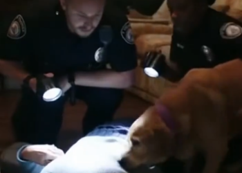 25 A Dog Was Reported for Barking All Night — But What Police Found Inside the House Brought Them to Tears