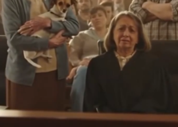 26 An Elderly Woman’s ‘Strange Crime’ Revealed a Truth No One Expected — And It Made the Judge Rise to Embrace Her