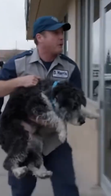 27 A Father’s Sudden Arrest Revealed a Truth No One Expected — And It Left Officers in Tears