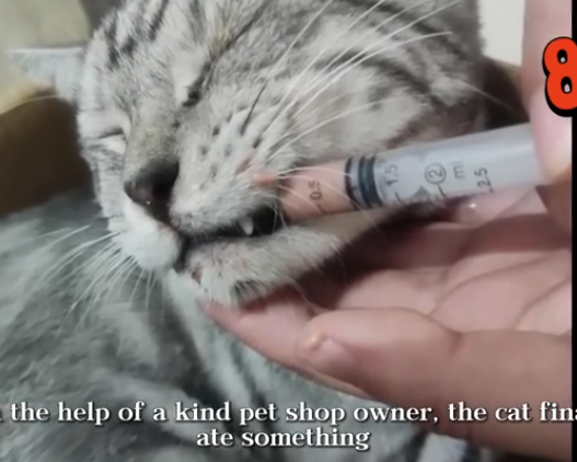 C0112005_The creature fighting for its final breath #rescue #urgent_part2