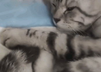 C0112006_The tiny soul trapped in heartbreaking pain #save #helpnow_part2