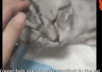 C0112007_This poor being trembling on the edge of life #actfast #aid_part2