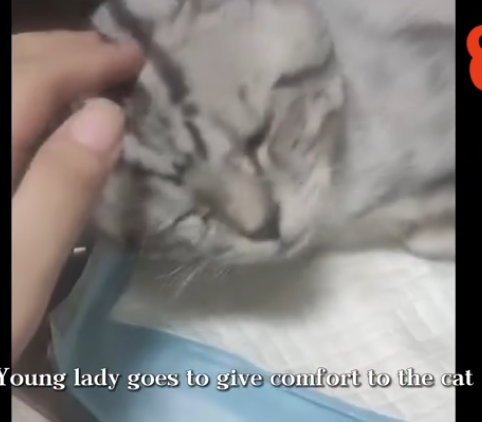 C0112007_This poor being trembling on the edge of life #actfast #aid_part2