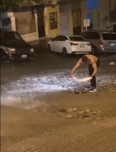 C0412020_Man gets amazing gift after rescuing mother Opossum #animals #animals…