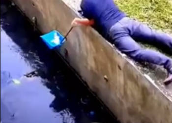 C0412028_Rescue poor puppy #animals #animalsoftiktok #animallover #rescuea…