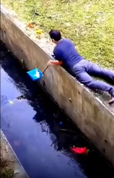 C0412028_Rescue poor puppy #animals #animalsoftiktok #animallover #rescuea…