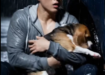 C0301012_The final struggle played out under relentless suffering