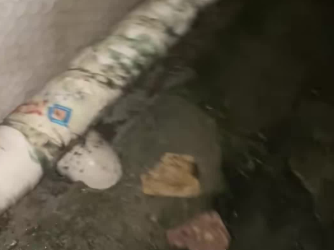 C1601012_Successfully rescued trapped kitten,and ending is so heartwarmi…