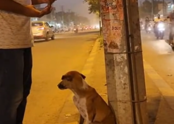 C0301003_This footage reveals unbearable pain reaching its breaking point