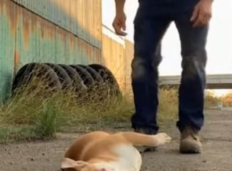 C0501006 He Called Out — Then Realized He Wasn’t Alone.