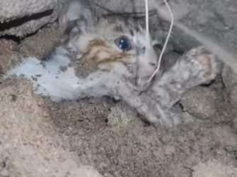 C1701001_Still breathing. Still hoping.