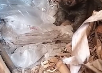 C1701004_Years on street nowhere left to go.