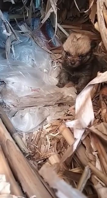 C1701004_Years on street nowhere left to go.