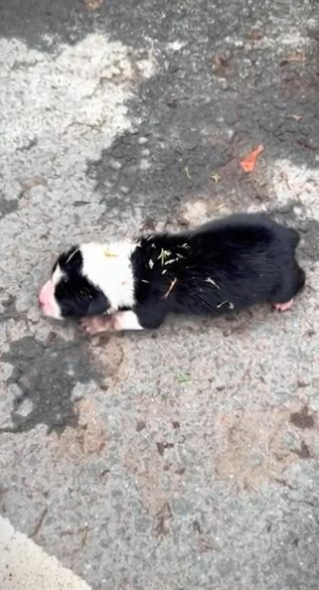 C1701007_ He moved forward but nowhere felt safe.